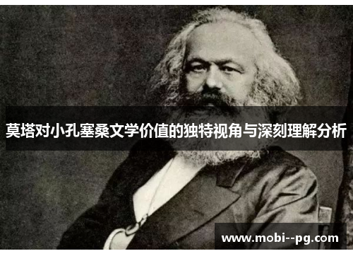 莫塔对小孔塞桑文学价值的独特视角与深刻理解分析