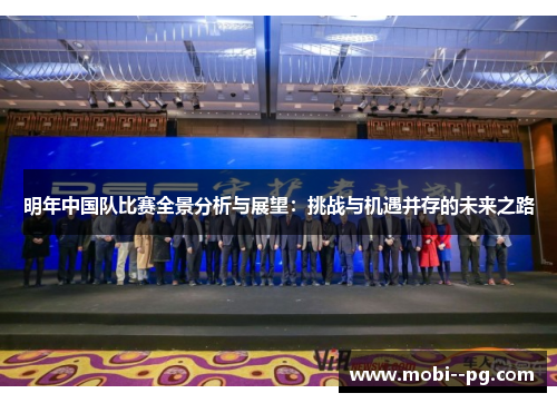 明年中国队比赛全景分析与展望：挑战与机遇并存的未来之路