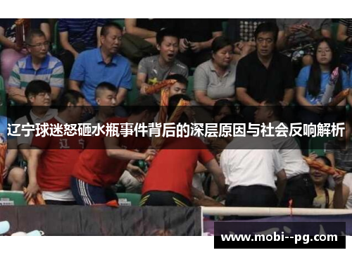 辽宁球迷怒砸水瓶事件背后的深层原因与社会反响解析 辽宁球迷怒砸水瓶事件背后的深层原因与社会反响解析