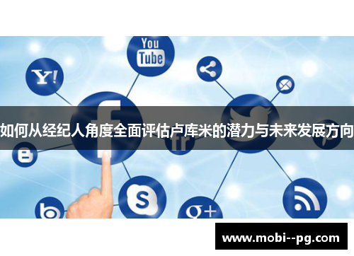 如何从经纪人角度全面评估卢库米的潜力与未来发展方向