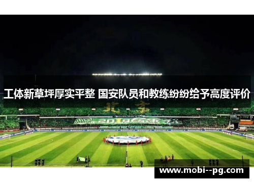 工体新草坪厚实平整 国安队员和教练纷纷给予高度评价 工体新草坪厚实平整 国安队员和教练纷纷给予高度评价