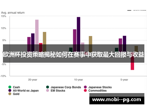 欧洲杯投资策略揭秘如何在赛事中获取最大回报与收益