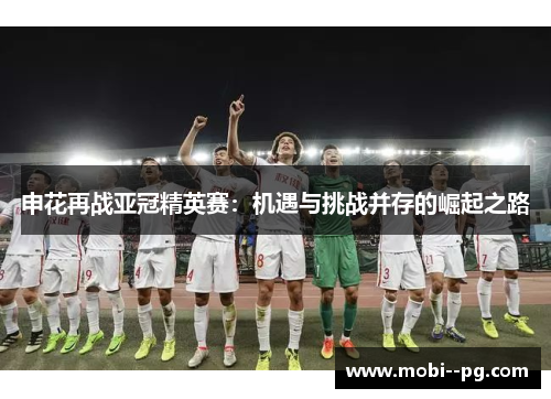 申花再战亚冠精英赛：机遇与挑战并存的崛起之路