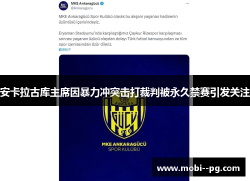 安卡拉古库主席因暴力冲突击打裁判被永久禁赛引发关注 安卡拉古库主席因暴力冲突击打裁判被永久禁赛引发关注